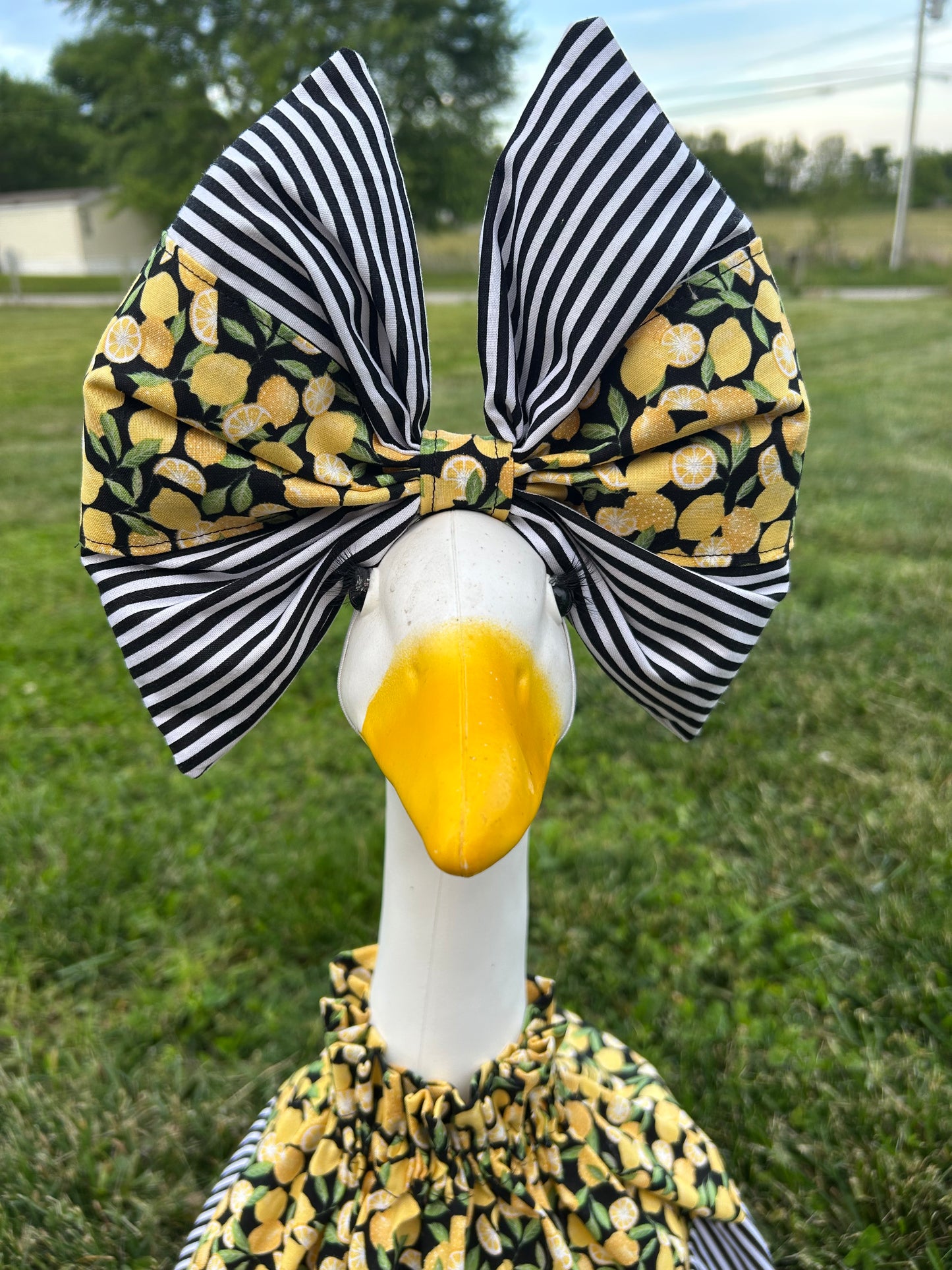 Lemon Twist 23"