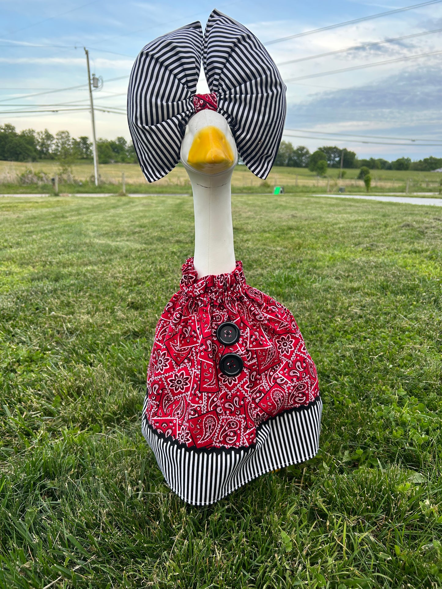 Country Fair 23"
